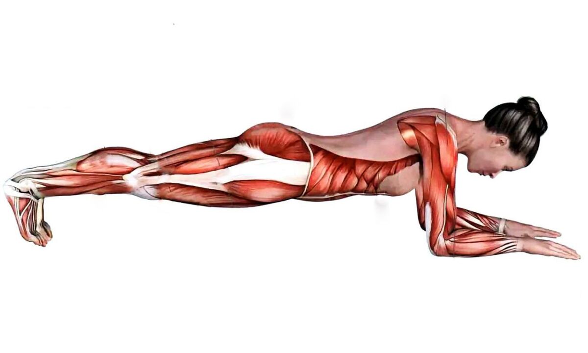 ما تعمل العضلات عند القيام بلح